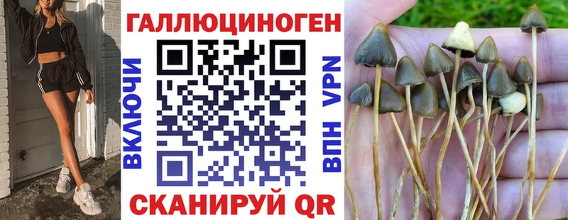 Купить  Нижний Новгород  Галлюциногенные грибы Magic Shrooms 